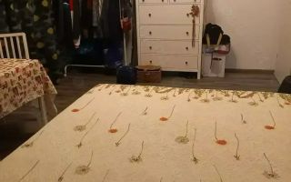 Apartament 3 camere.  Decomandat. Cu 2 bai si 2 balcoane. Grand Arena. - Poză 7