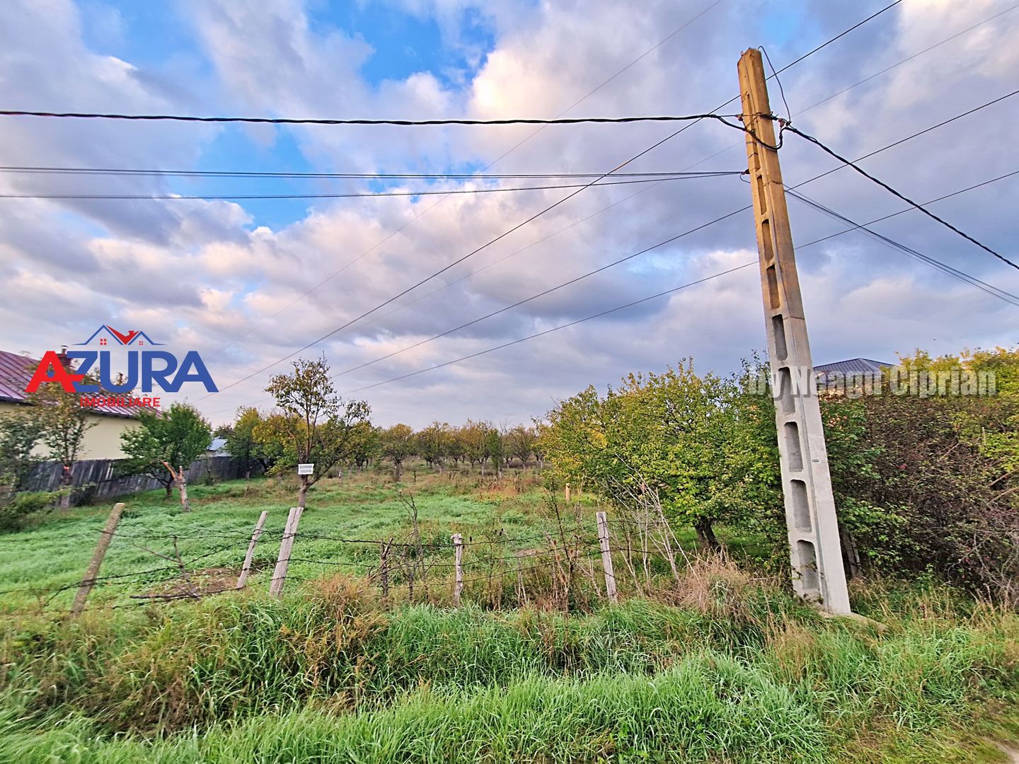 AZURA Imobiliare - Teren Bascov str Paisesti Deal - Poză 8