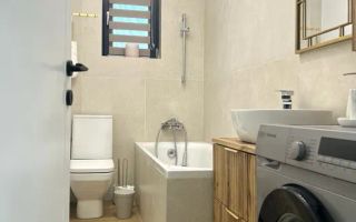 Casa individuala superba si curte de inchiriat - Poză 6