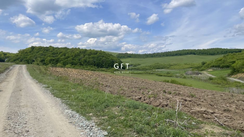 Teren extravilan 10000 mp, Jelna. - Poză 17