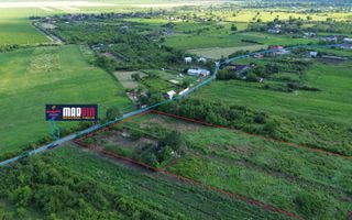 Teren Urlați / Investitie / 5.555 mp pe Traseul MARVIN si Drumul Vinului - Poză 2