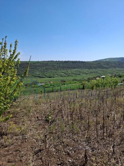 Tren in zona Copou Iasi, Numarul de - Poză 6