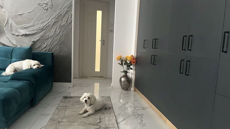 Apartament 2 camere zona Basarabiei - Diham - Poză 2