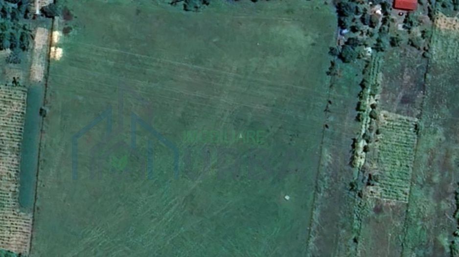 Teren intravilan în Padureni, Grajduri – 11.272 mp, 23 km de centrul orașului - Poză 1