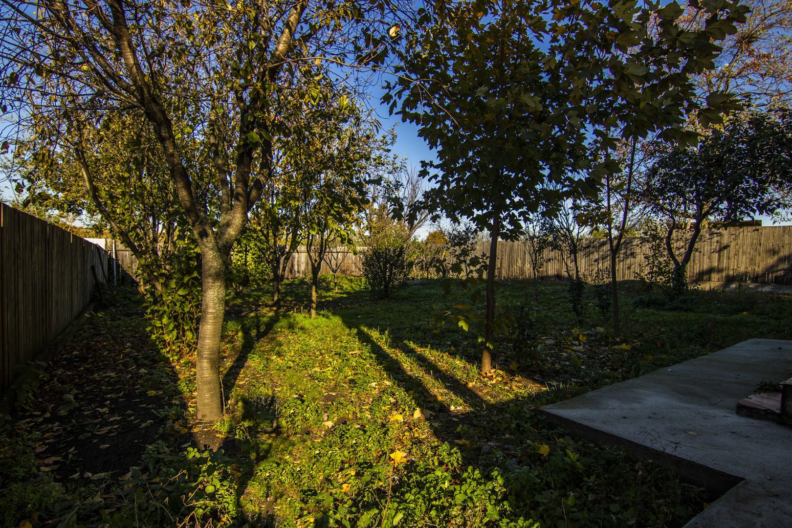 Casa /Vila individuala, 5 camere, teren 1000 mp, zona verde, linistita - Poză 3