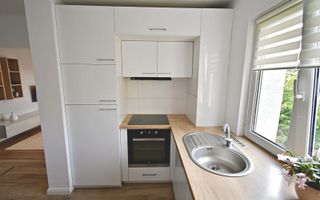 Apartament 3 camere, etaj intermediar, renovat zona strazii Albac - Poză 11