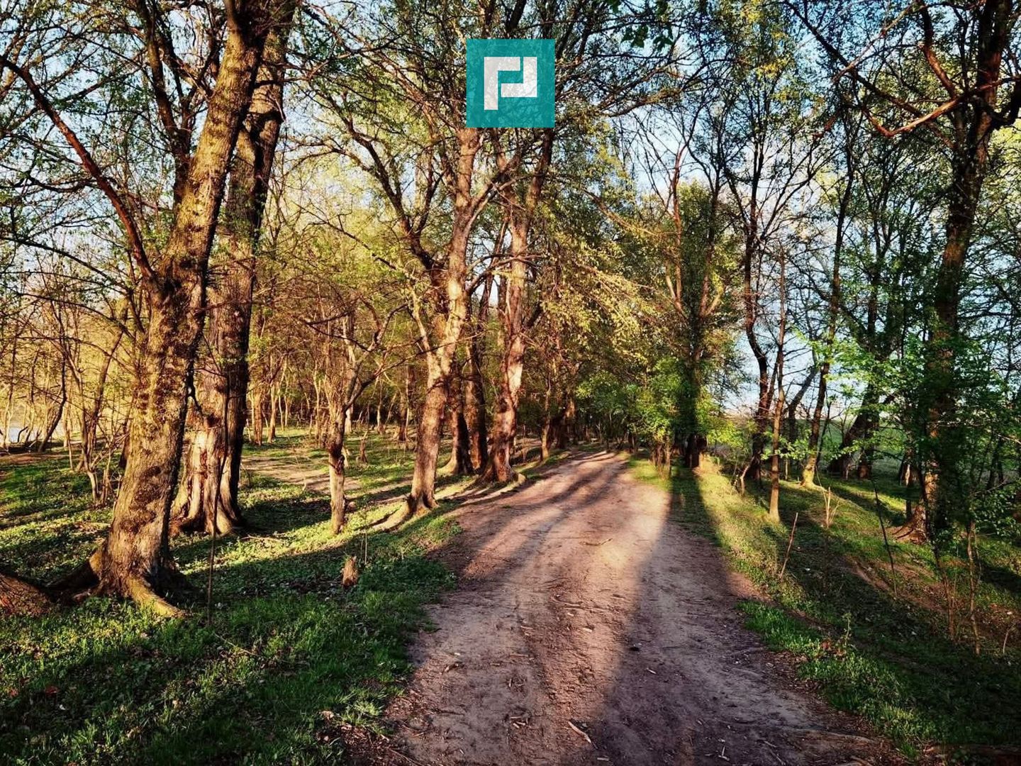 Teren pe malul Muresului- oportunitati multiple - Poză 3