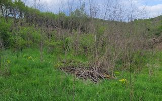 TEREN DE VÂNZARE I SLIMNIC I INTRAVILAN - Poză 2