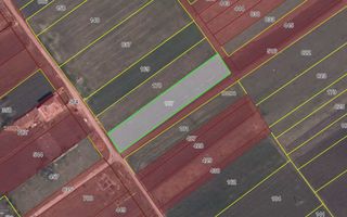 Vânzare, teren agricol, 17 ari, satul Maximovca, Anenii Noi - Poză 1