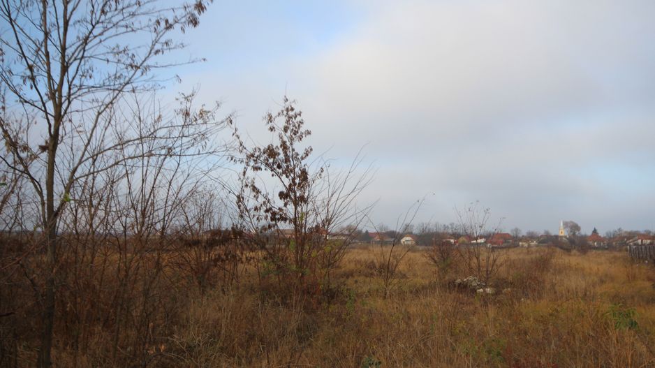 Teren 39.500 mp  Freidorf - Poză 3