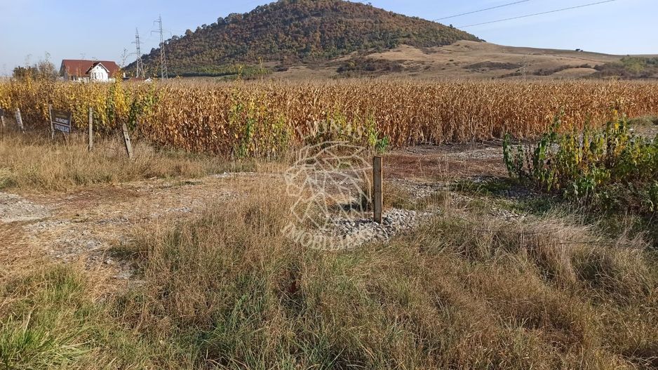 Parcele intre 770 mp si 4606 mp-ideal investitie-Sarata - Poză 1