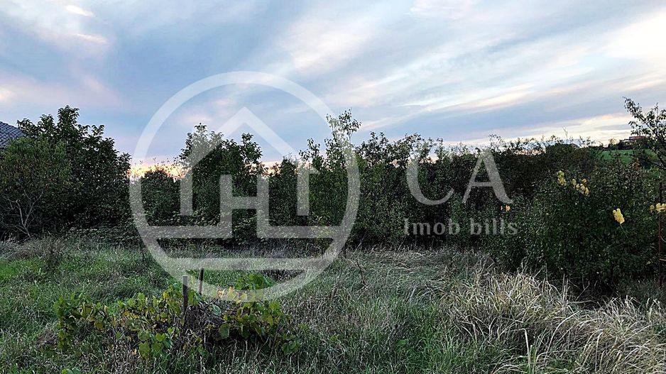 Teren intravilan de vânzare pe strada Beldiceanu, Bihor - Poză 4