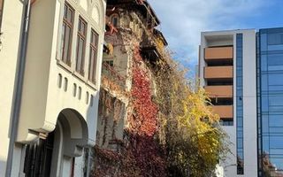 Apartament Parcul Icoanei - Poză 14