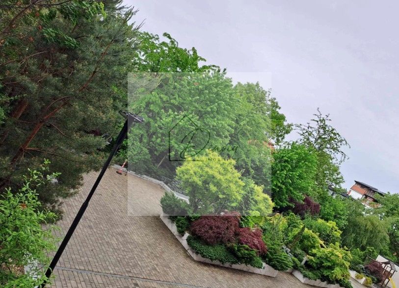 Studio Premium Erou Iancu Nicolae Pipera - Poză 10