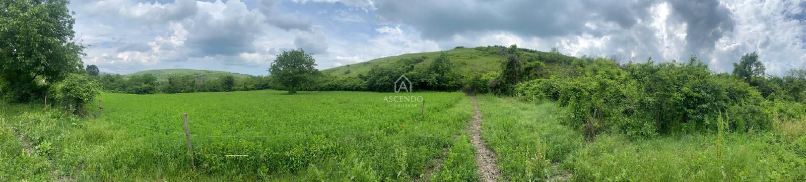 Domeniu 15.900 mp în Fințești | Casă + Investiție Dealu Mare - Poză 1