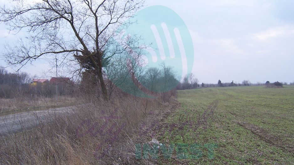 Teren constructii intravilan de 1000 mp, Venus - Poză 2