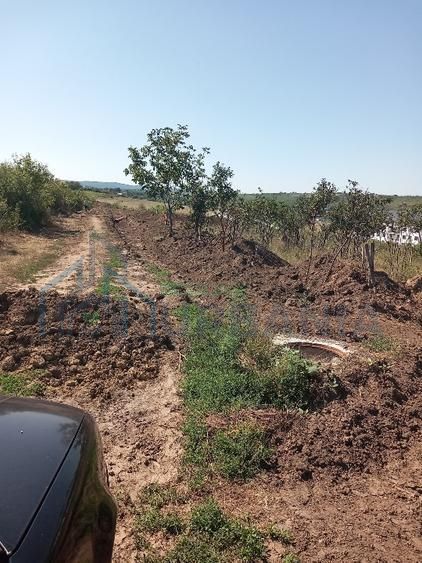 Teren de vânzare în zona Vișan, Iași - Poză 2
