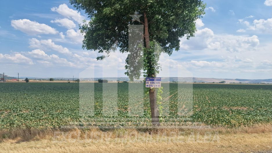 Teren agricol la sosea, pretabil si ptr constructii industriale - Poză 5