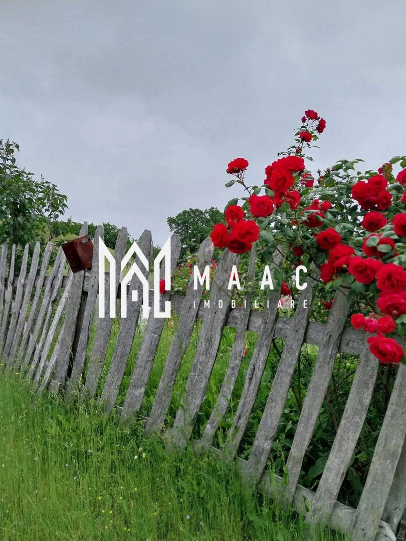 Proprietate cu 60000 mp pamant la pret de apartament - Poză 17