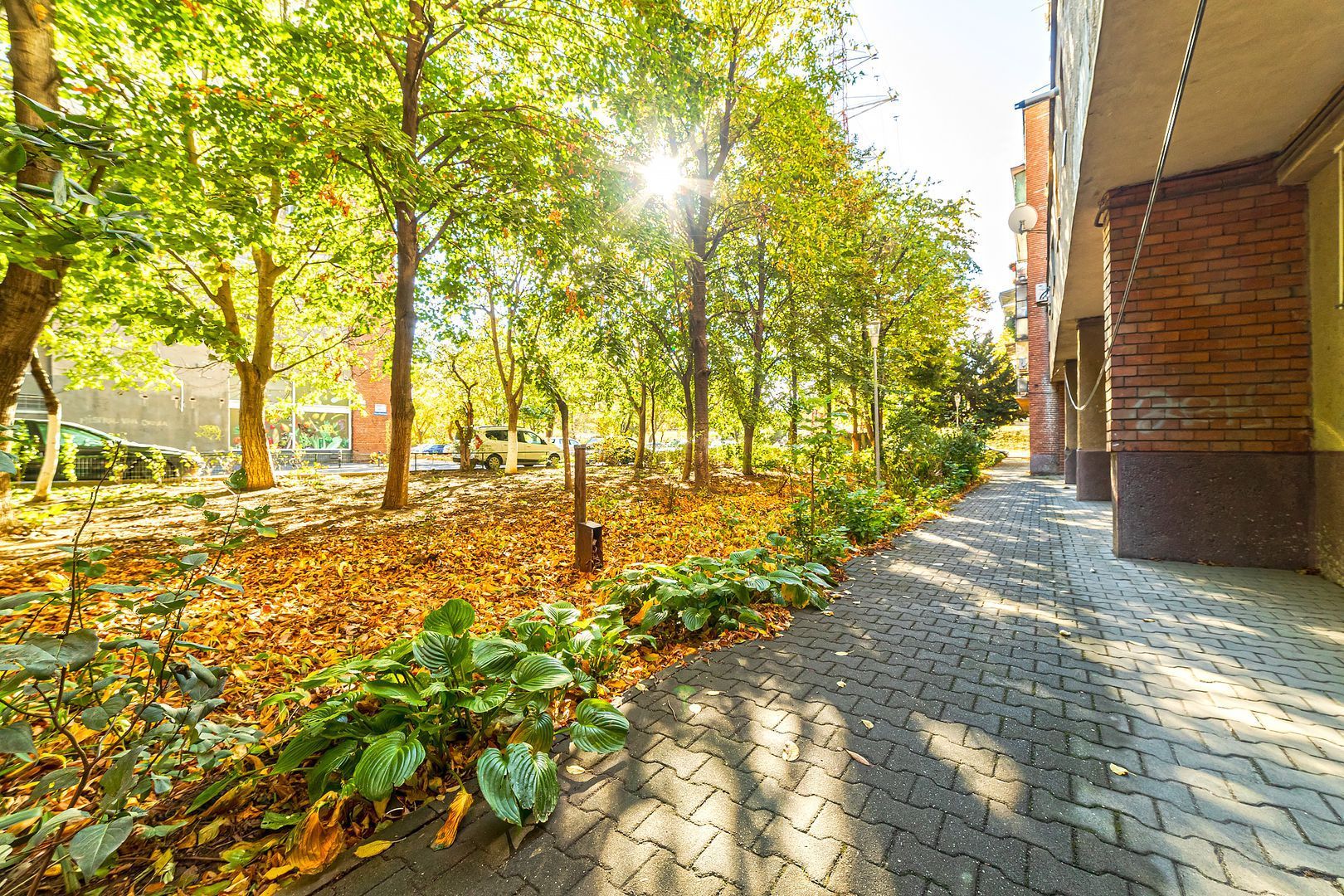 De închiriat apartament 3 camere - tip Samantha - Polivalentă - Poză 6