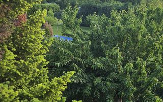 Vila 8 camere Dascalu - Poză 23