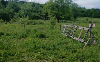 Teren Salatrucel | 8300 m | 12 euro/ metru | Intravilan si extravilan | - Poză 1
