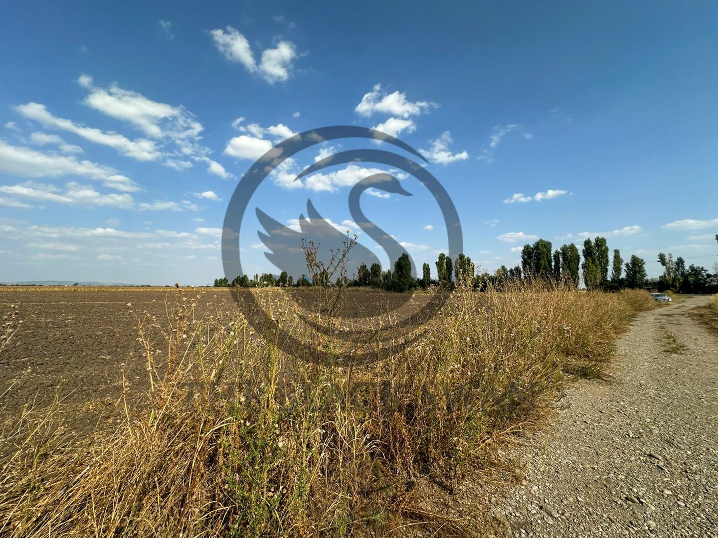 Teren extravilan de vanzare | 9882mp | Berceni - Prahova | Comision 0% - Poză 8