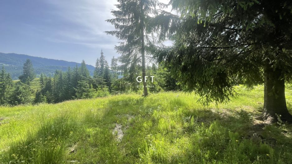 Teren intravilan, Colibita, 2150 €/ar!!! - Poză 3