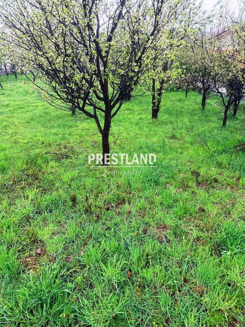 Teren constructie casă de vacantă !! - Poză 4