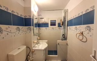 Suprafata Generoasa I Zona Gemenii - Poză 4