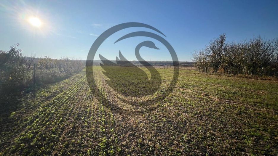 Teren intravilan de vanzare | 12.650 mp | Ghirdoveni, | COMISION 0% - Poză 5