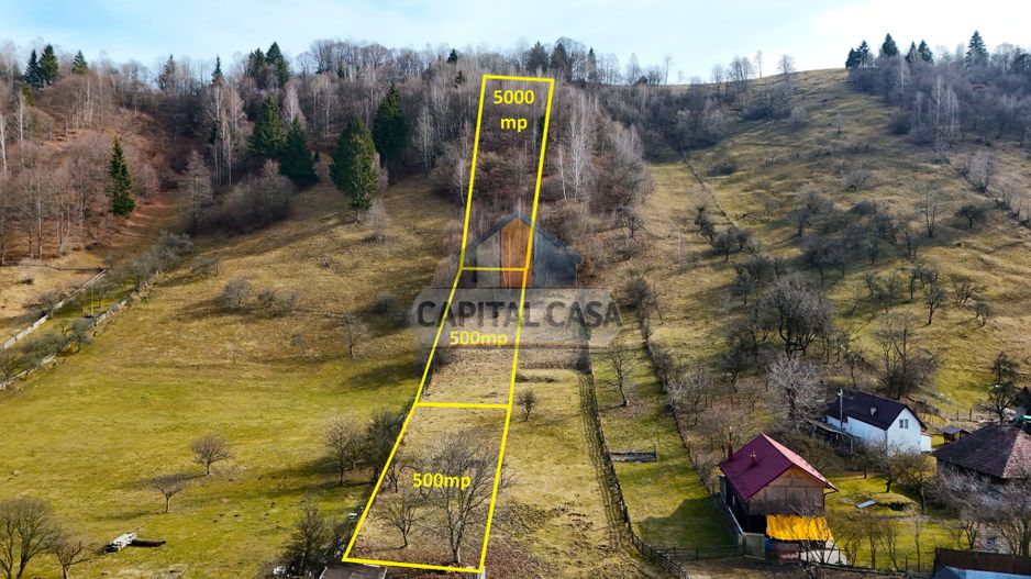 Teren intravilan in Moeciu de jos – Vedere panoramică Piatra Craiului - Poză 2