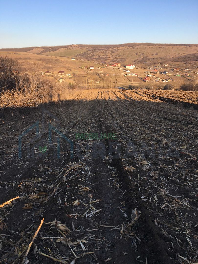 Teren 10.500 mp în Rediu Aldei, comuna Aroneanu – perspectivă intravilan - Poză 1