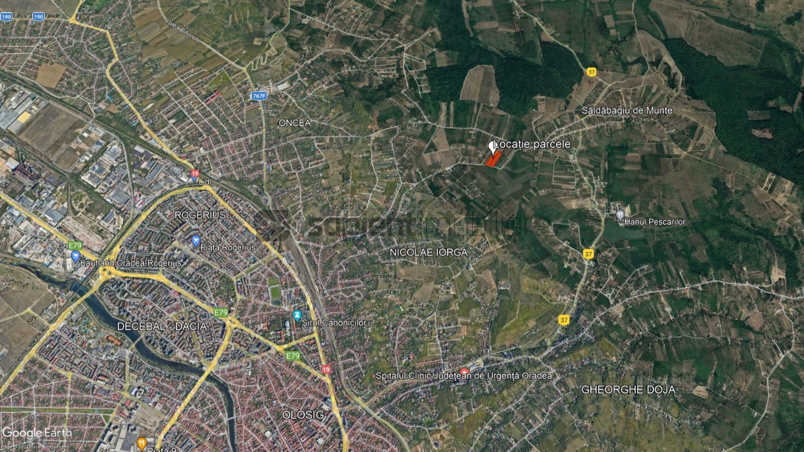 Teren Paleu - Poză 4