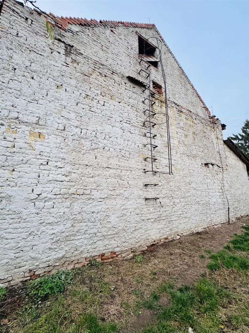 Casa Diosig + Cinematograf si teren - Poză 12