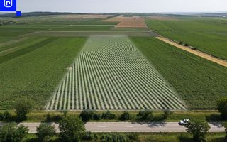 Teren - Orășeni Deal, Curtești | BOTOȘANI | 10.000mp - Poză 8