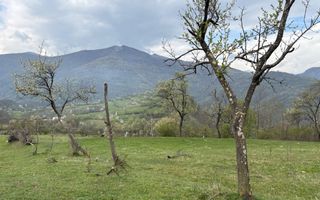 Teren de vânzare, 7750 mp I Orientare sudică I Caineni - Poză 4