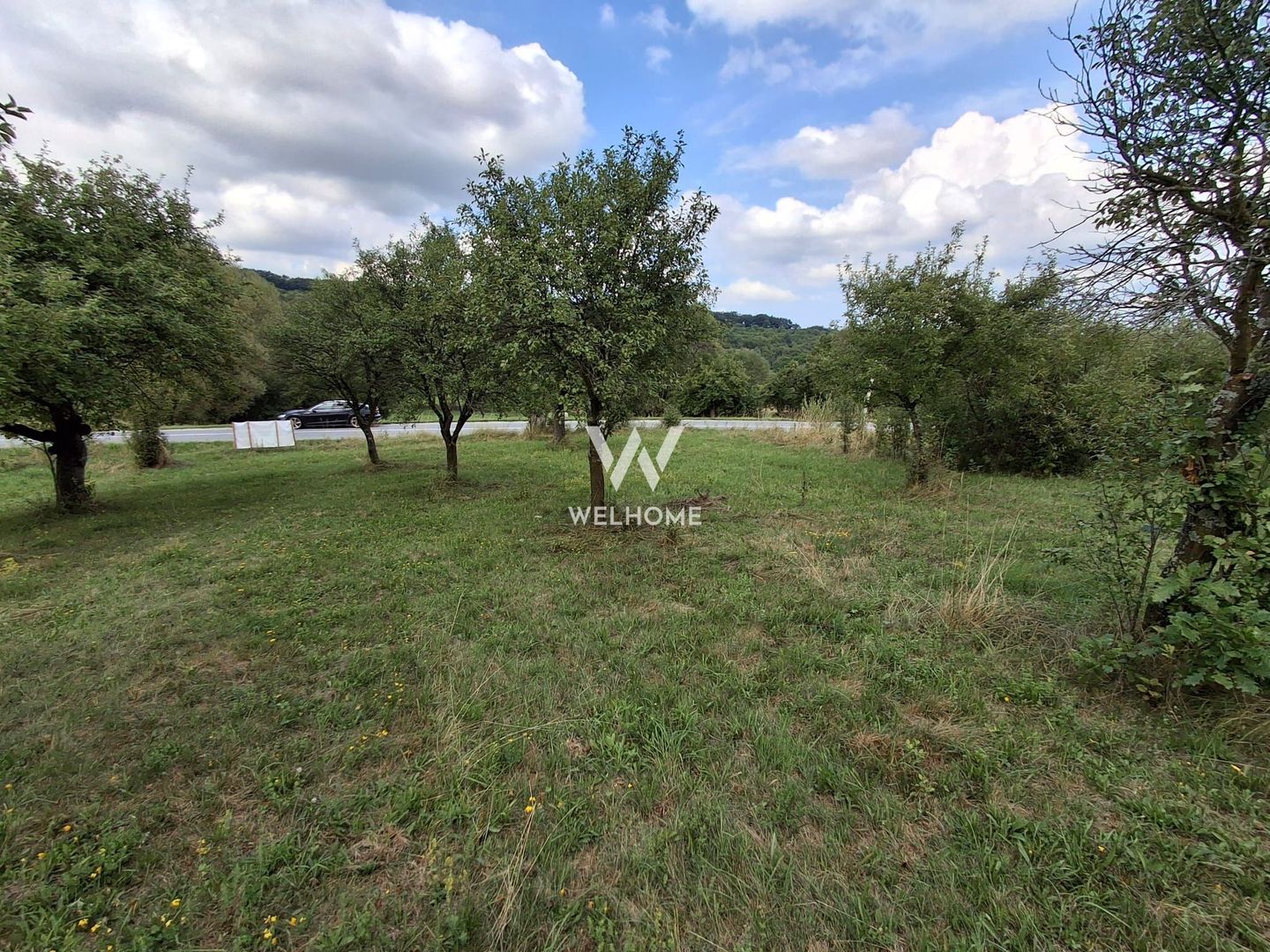 De vânzare teren extravilan în Sibiel, jud. Sibiu – 3223 mp - Poză 10