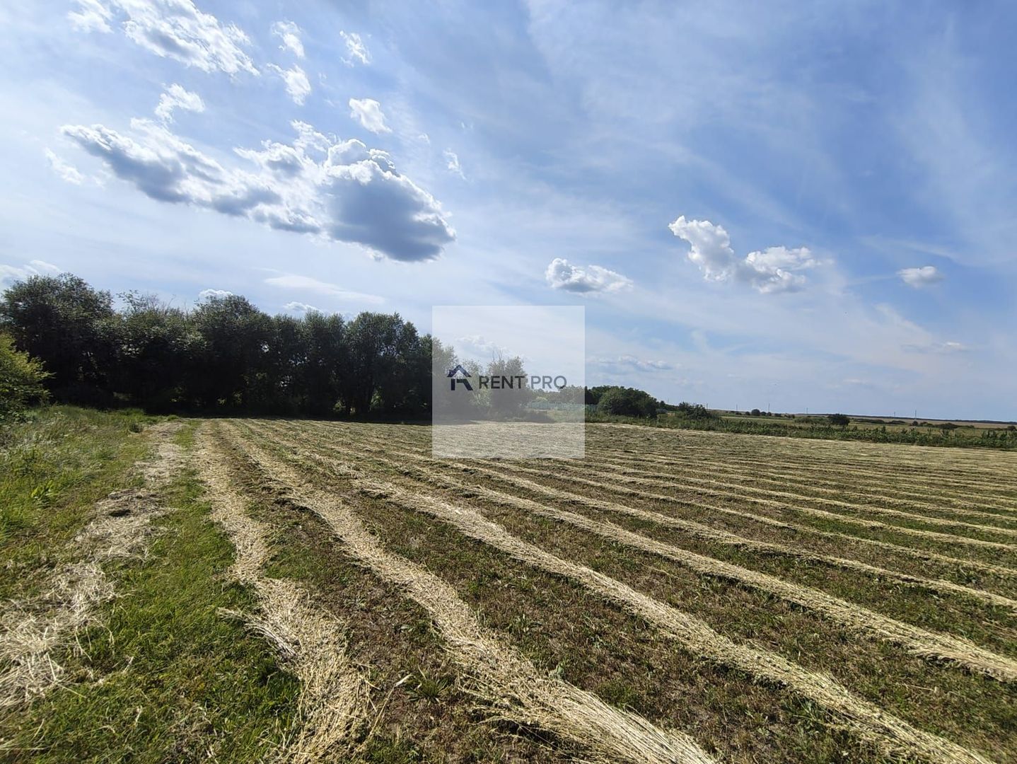 Teren de 11.000 mp cu casă și teren agricol | La 40 km de București | - Poză 1