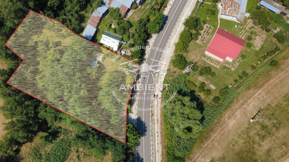 TEREN 1.200 mp în BRODOC - NATURĂ, INTIMITATE ȘI ACCES DIRECT LA ASFALT; - Poză 4