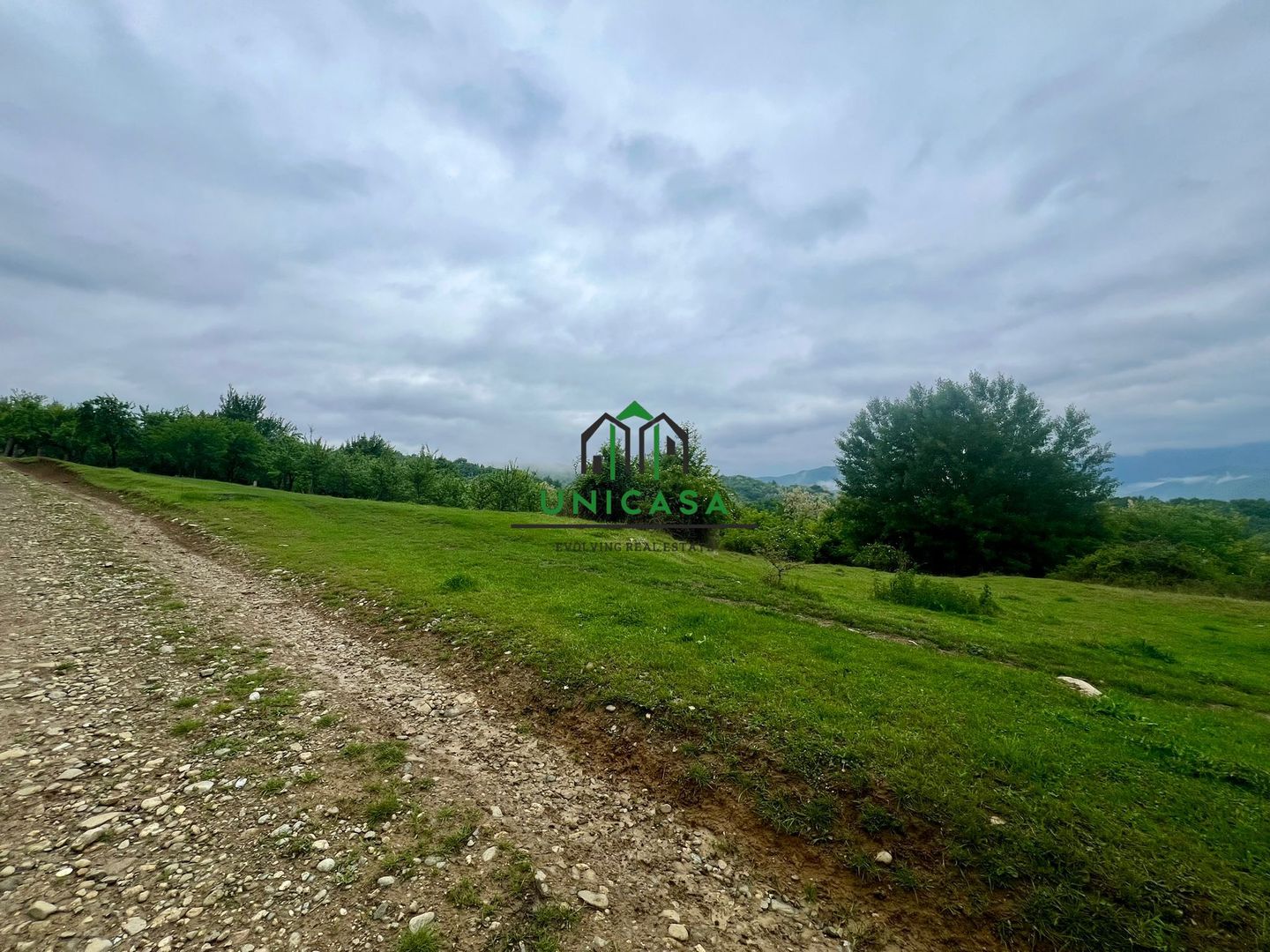 Teren 3507 mp/ Seaca/Calimanesti - Poză 4