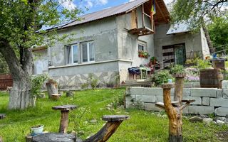 2 Case + teren 1390 mp langa parcul central Provita de Sus - Poză 1