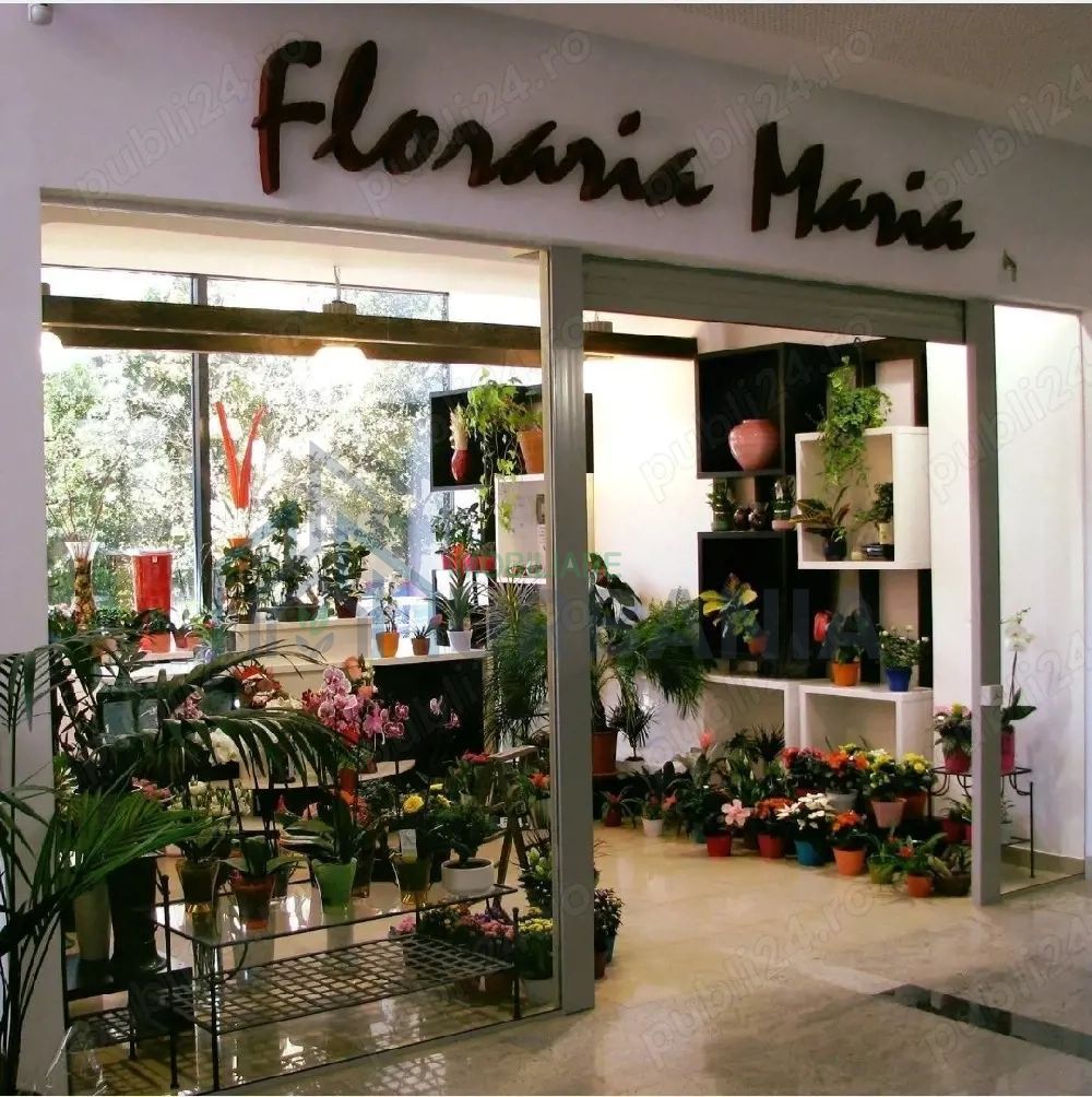 De vanzare afacere la cheie iasi, florarie - Poză 1