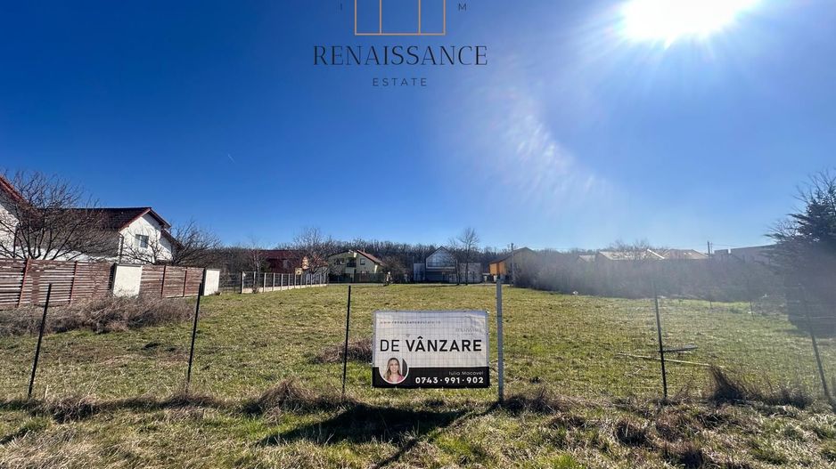 Dumbravita Teren Intravilan 1466mp Front 29m | Langa Padure - Poză 2