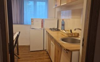 Apartament 2 camere Dristor Park Lake - Poză 8