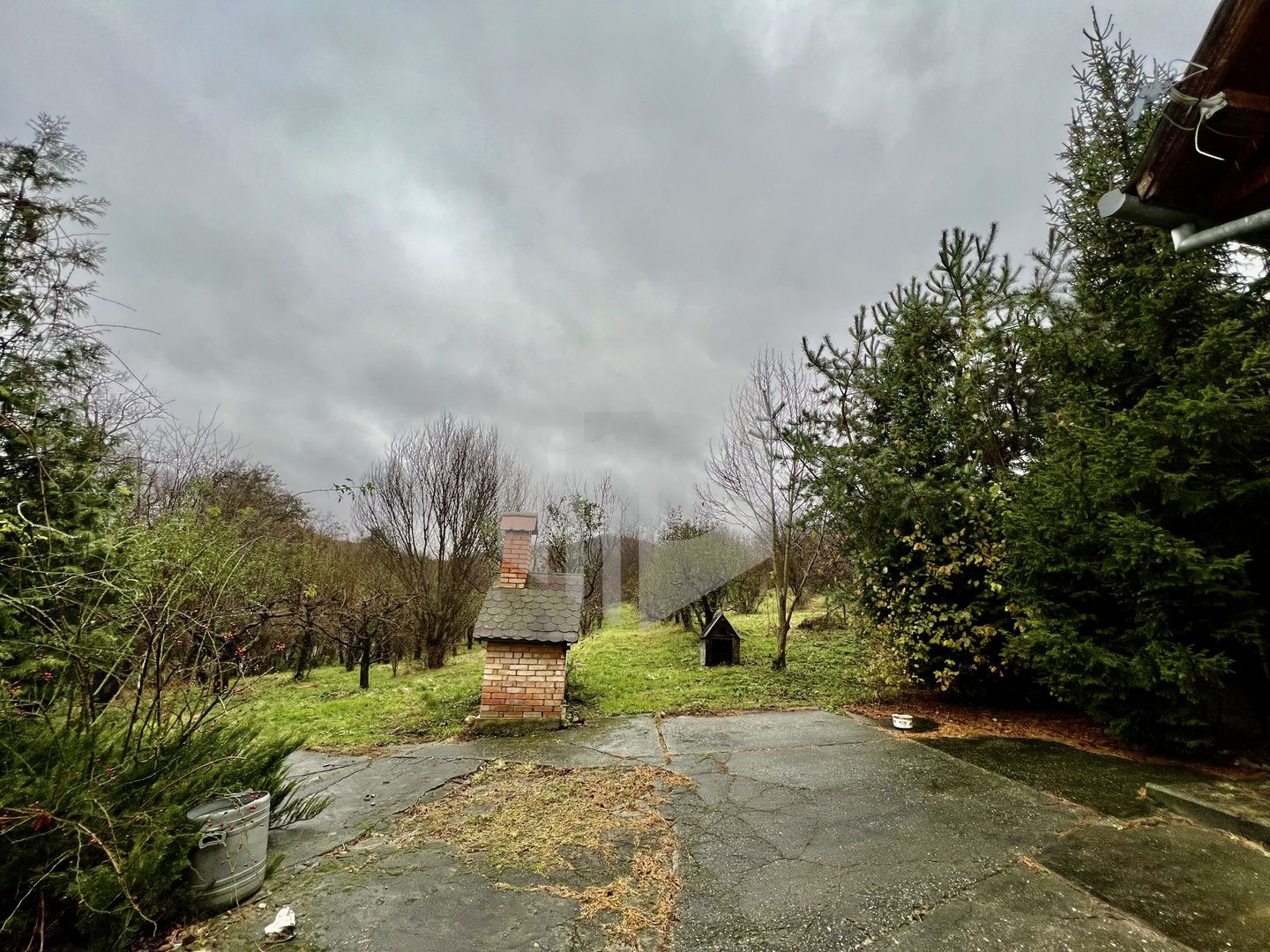 Teren cu livada+ casa de vanzare in Talmacel- 4000 mp - Poză 13