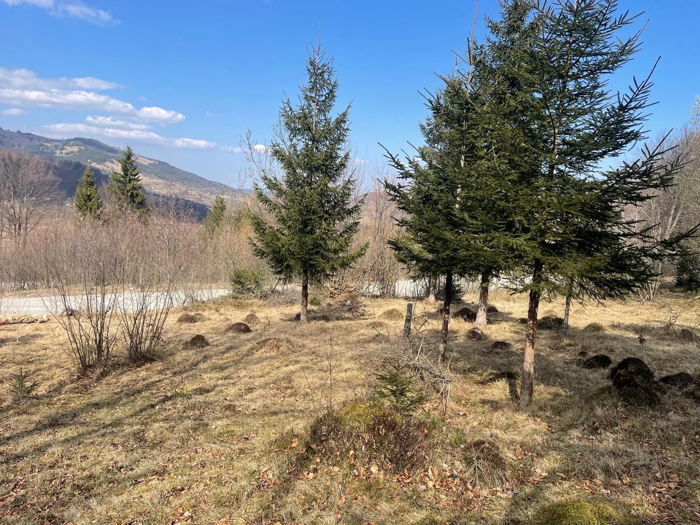 Casa/Pensiune turistica de vanzare |  5 dormitoate cu baie proprie - Poză 9