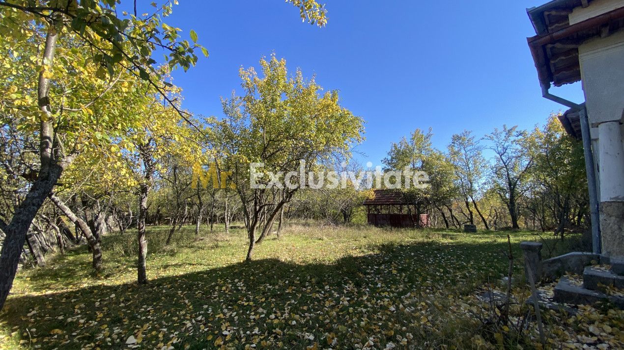 Casa+teren 2713 mp in loc. Babana, jud. Arges. Comision 0% - Poză 3