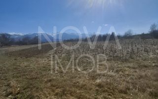 Teren extravilan de vanzare - Arpasul de Sus - Poză 2