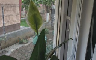 2cam.dec.mob-util complet+curte62mp+parcare/10min metrou D.leonida - Poză 20
